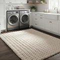 Jeni Beige Washable 5'x8' Non-Slip Plush Shag Area Rug